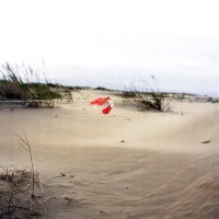 Delta del Ebro